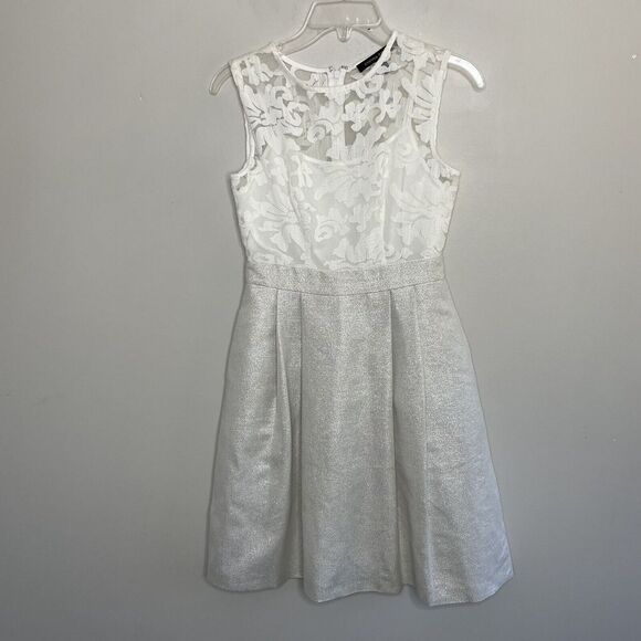 CYNTHIA STEFFE Womens Sleeveless Embroidered Sheer Dress Sz 2 White Metallic - Picture 1 of 12